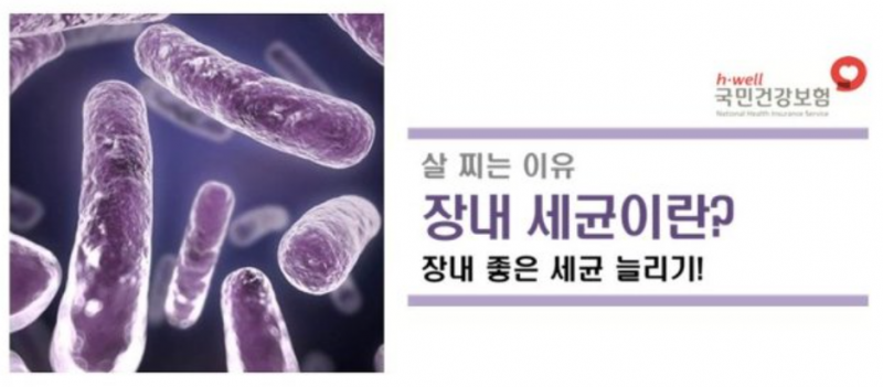 f490b6247edc49237e1e158e6d2470c2_1517274