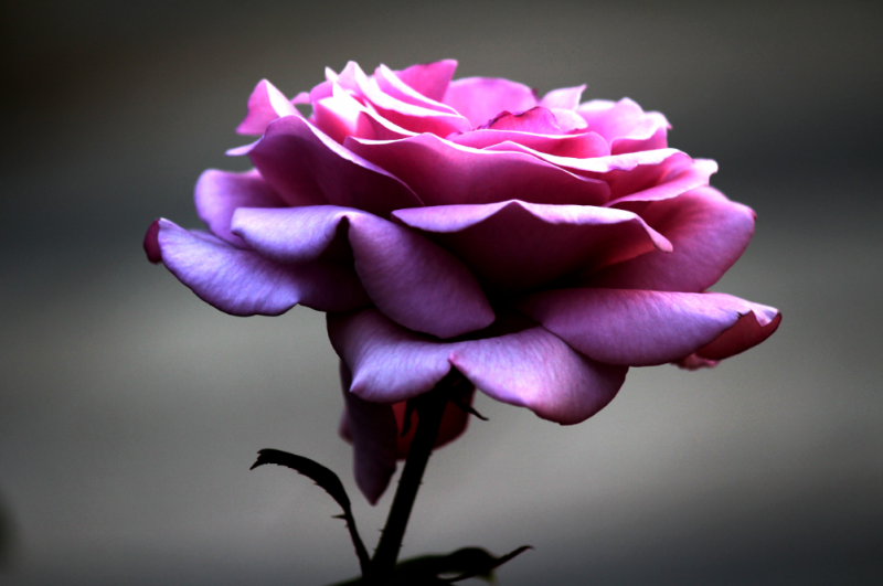 40be81864e75c9d42fbcadef247c540a_1559092