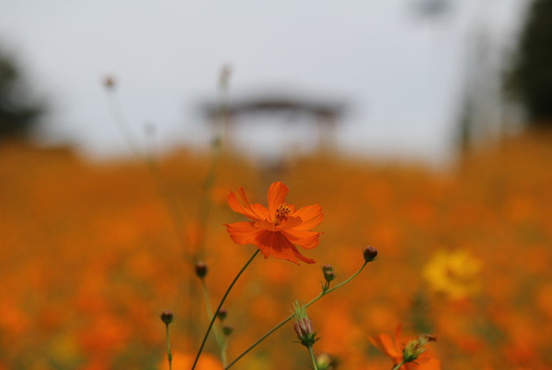 f7f2d9b25506f19a96833657f0fb0b2b_1754444