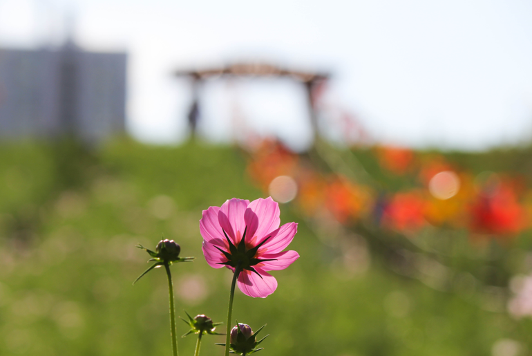 f7f2d9b25506f19a96833657f0fb0b2b_1754445