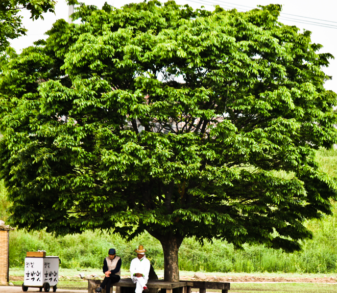 5f71f7b4c6dfacb36d5b26473ba55594_1756778