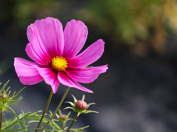 cae76d671fed2e5c2f2d67f8cfdfee3d_1758767