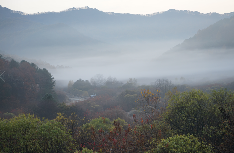 cae76d671fed2e5c2f2d67f8cfdfee3d_1758768