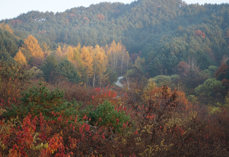 cae76d671fed2e5c2f2d67f8cfdfee3d_1758768