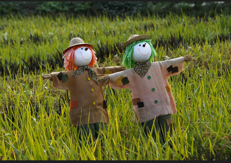 34c3b0e0fbc1512a88a9f8c814a0a2a6_1760582