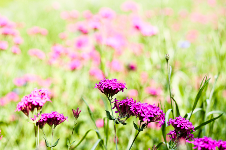 34c3b0e0fbc1512a88a9f8c814a0a2a6_1760582