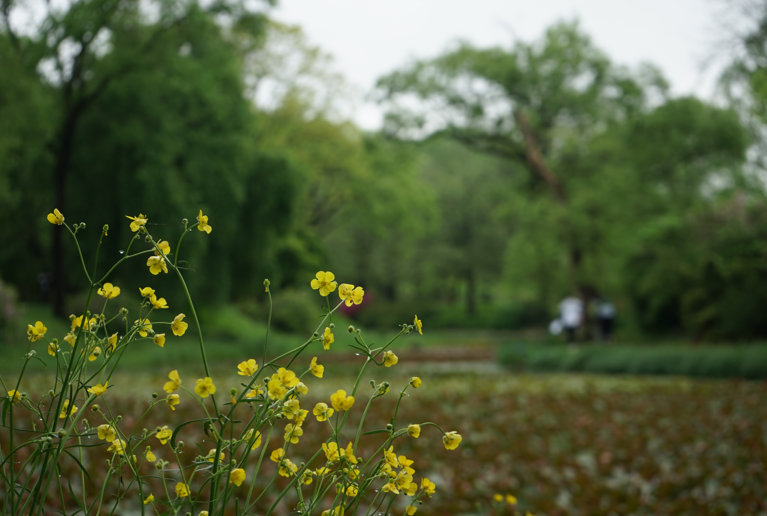 34c3b0e0fbc1512a88a9f8c814a0a2a6_1760582