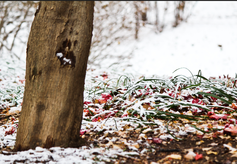 b47f4b78c90b137a010c45a63732cb36_1765249